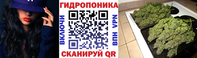 Виды наркотиков купить Малаховка Кокаин  АМФЕТАМИН  Бошки Шишки  Мефедрон  СОЛЬ 