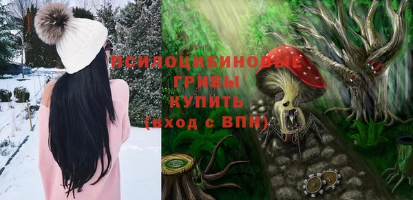 спайс Богородицк