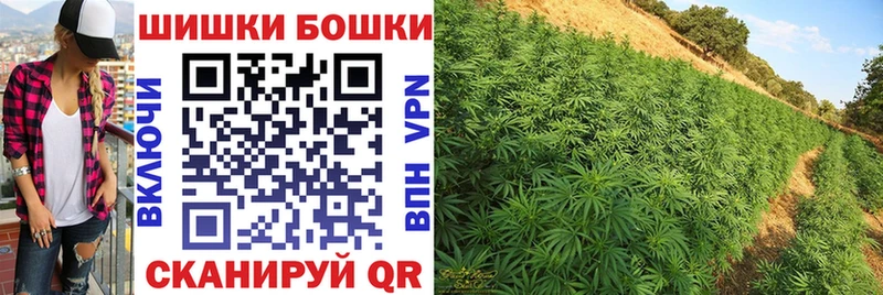 Бошки Шишки план  Малаховка 